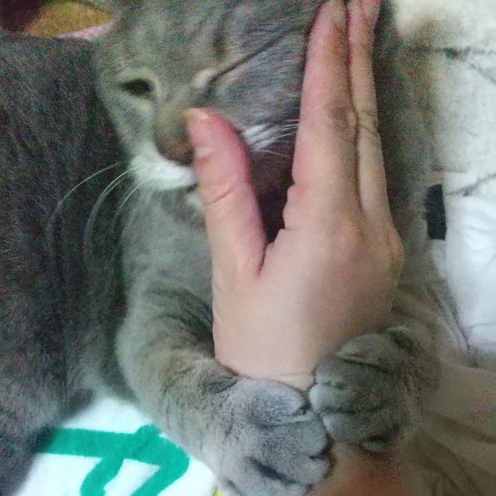 0acfcc63 9185 4c1a ac1c d1b6029ee079 1623073496709