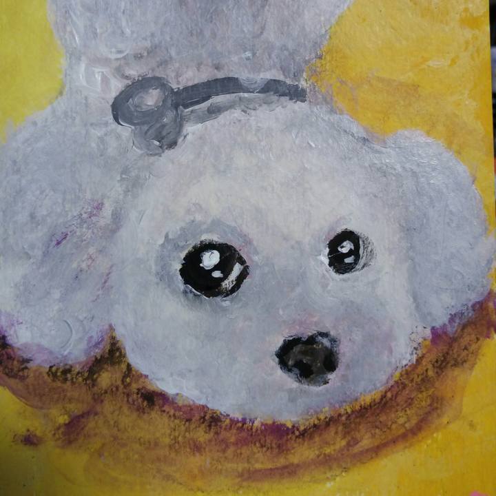 0acfe5f6 cfb1 447b 924b 077b8d54d70b 1513297330004