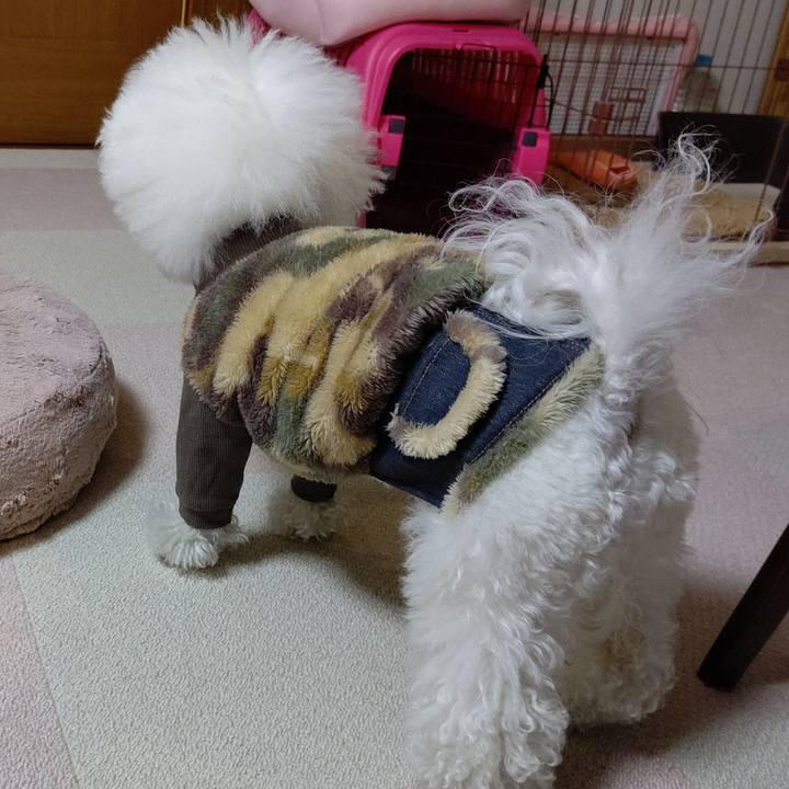 0ad0134a ef4f 405f 984f 63253a051332 1579233440199