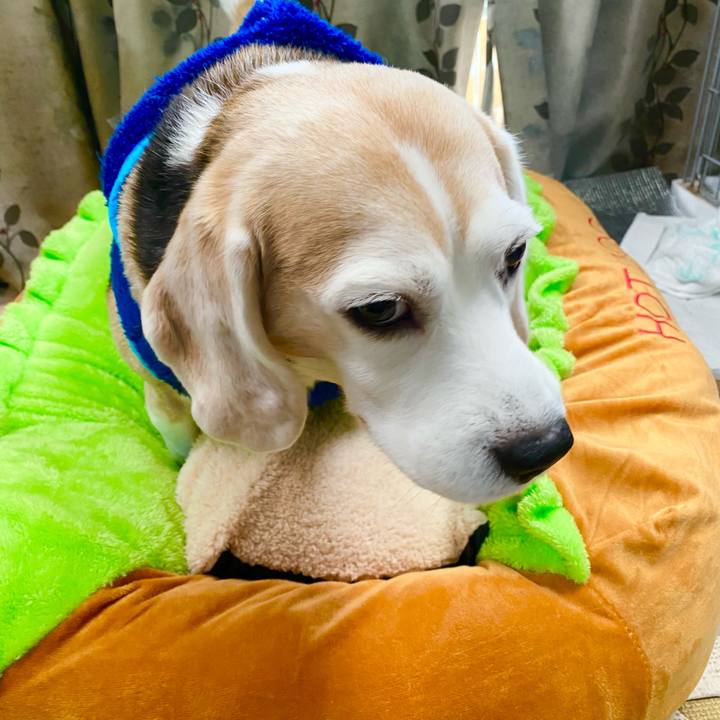 0ad03fb5 0557 4d7e b280 93425cf437b9 1610855470320