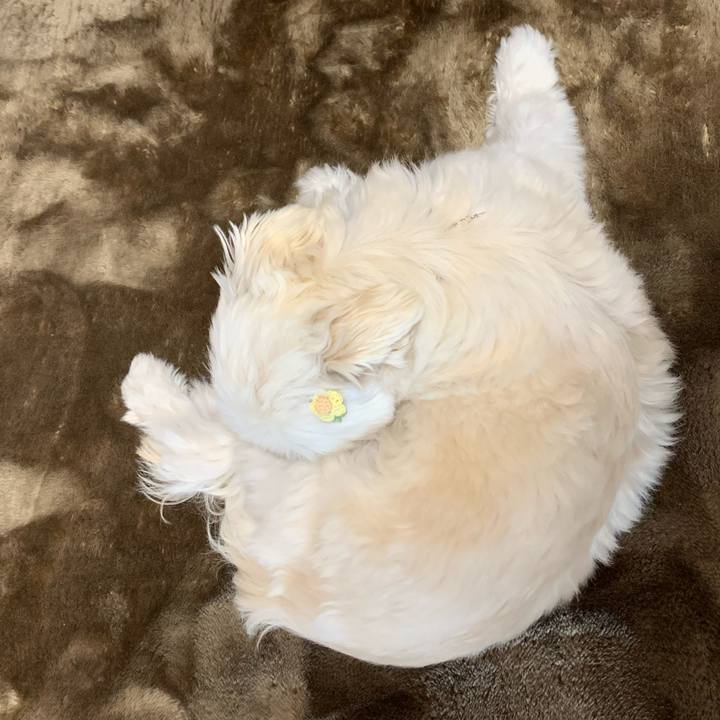 0ad04242 4479 4379 bd9c a10e4550118b 1647751211939