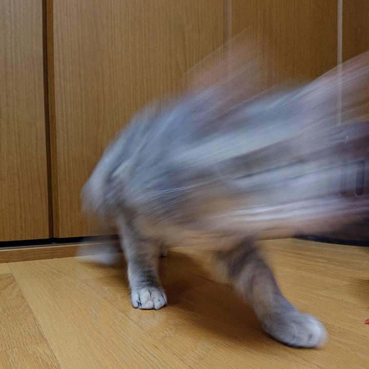 0ad051ce 91dc 4472 a4f0 7f490e428876 1560347209678