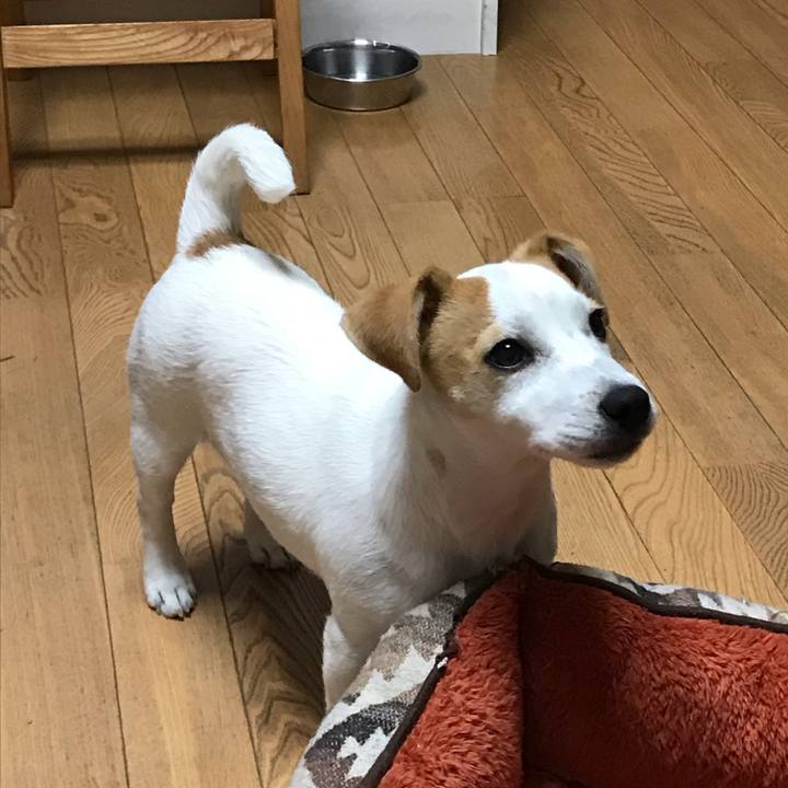 0ad08aab 2707 4fd9 b8cc c7d36a7b42e8 1548424963079