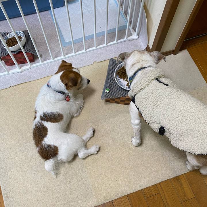 0ad0b2a4 f358 4ba3 97d4 5853fddd955f 1707037612435