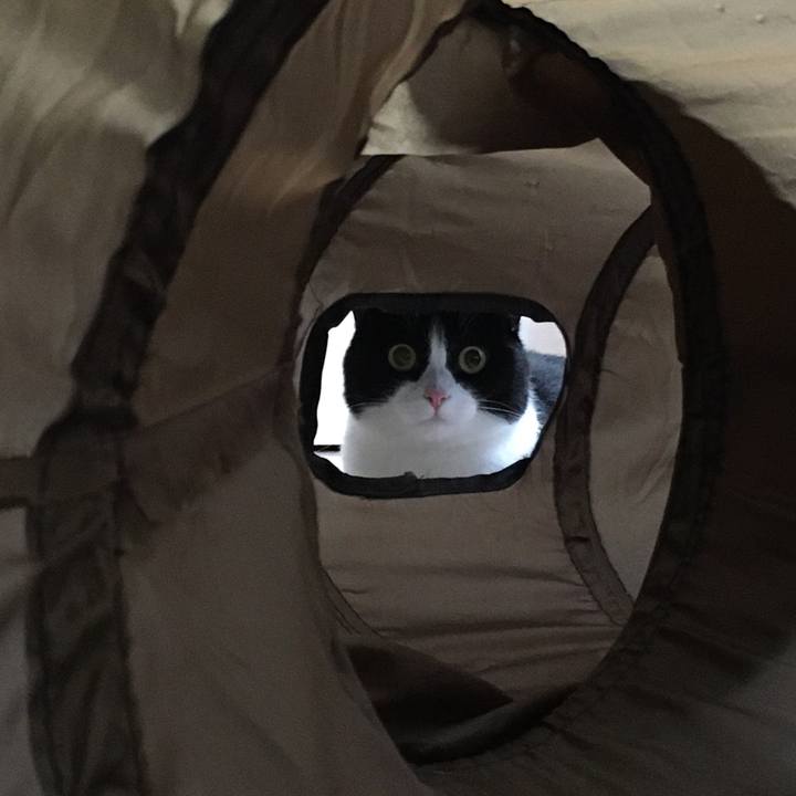 0ad0beb6 d457 4fda b0ae 45d7f5a77aba 1594817518169