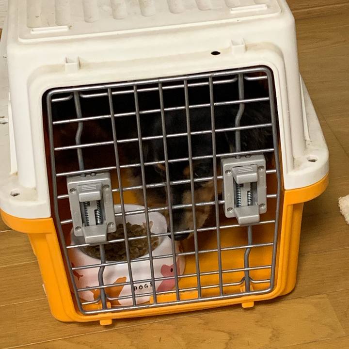 0ad0d63a 5c57 4f5b 8054 87162d990ff0 1567460016748