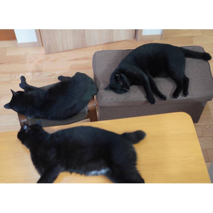 0ad0ed6b 2715 41c7 8f4b 277e117ee247 1627222346391