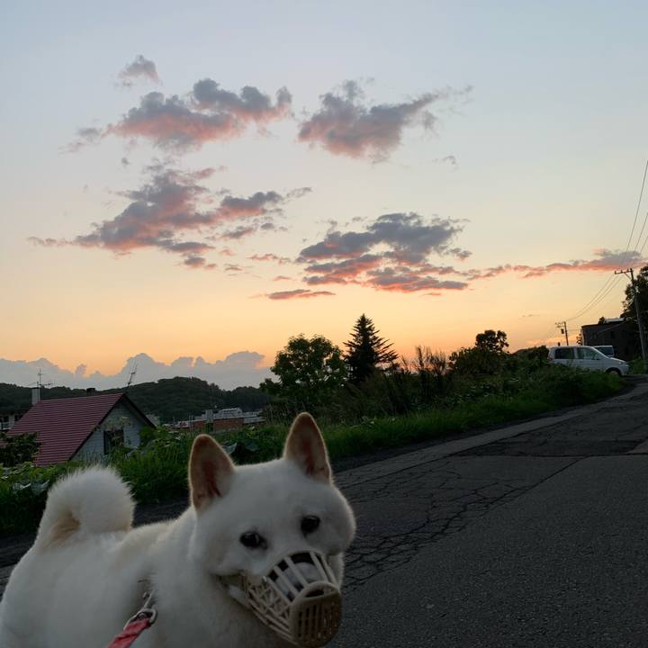 0ad0f68b 4cc5 4fbd 8096 ac6178e47039 1600463537543