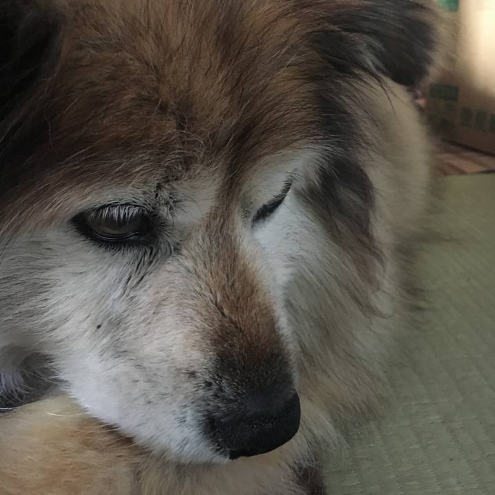 0ad0fd23 2fb4 4bfb af46 c417cd8bf5c3 1617736803730