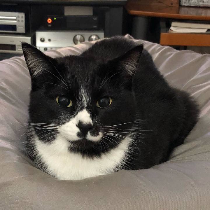 0ad10003 1c29 4d03 a071 eb361e133318 1520394341375