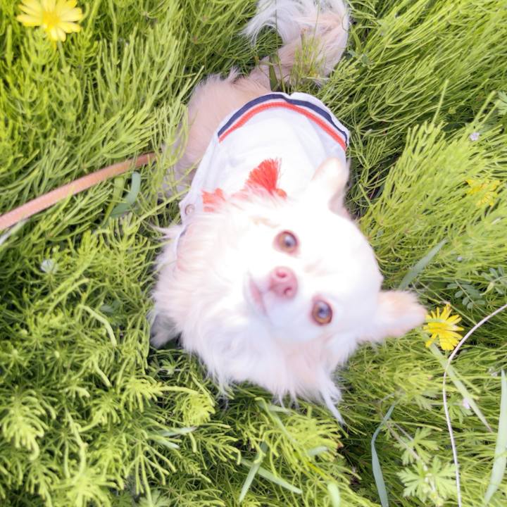 0ad1146d 68f4 41da 99a8 02af919c9b55 1744011049848