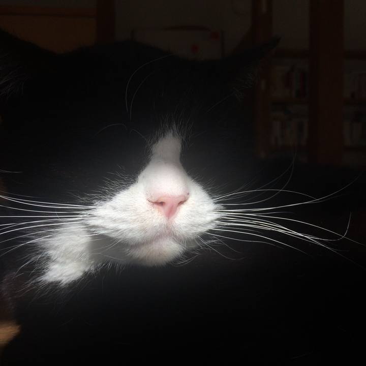 0ad116d4 cfd1 41f6 a4a3 92ebb8300206 1515306564983