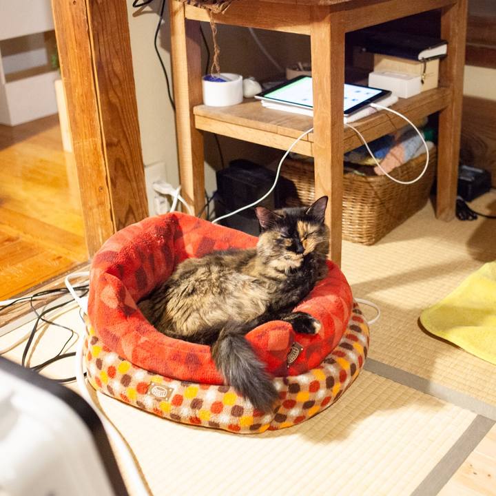 0ad116e2 0f5b 401f 9eaa e57e1b9b7f97 1574957941759