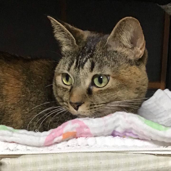 0ad15348 dd47 4bbd bf45 c66a83c8dcf1 1637565400392