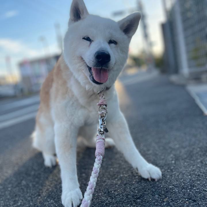 0ad1594a 4086 4271 b2c9 7fba108e30d2 1758928554470