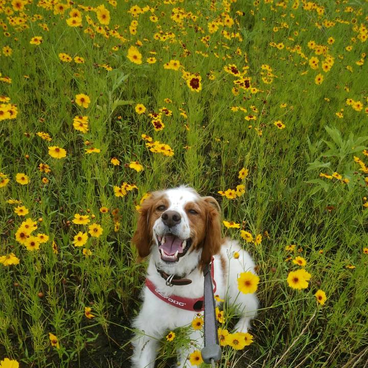 0ad15dca c80a 496b 8992 fcc7d72a6264 1530014035797