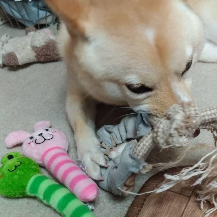 0ad17006 6404 41e3 9f86 68da600bcf4e 1566042655587