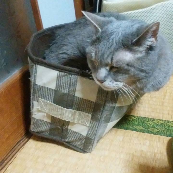 0ad18a11 182f 4eb2 8631 ed3d116adb9b 1592825693074