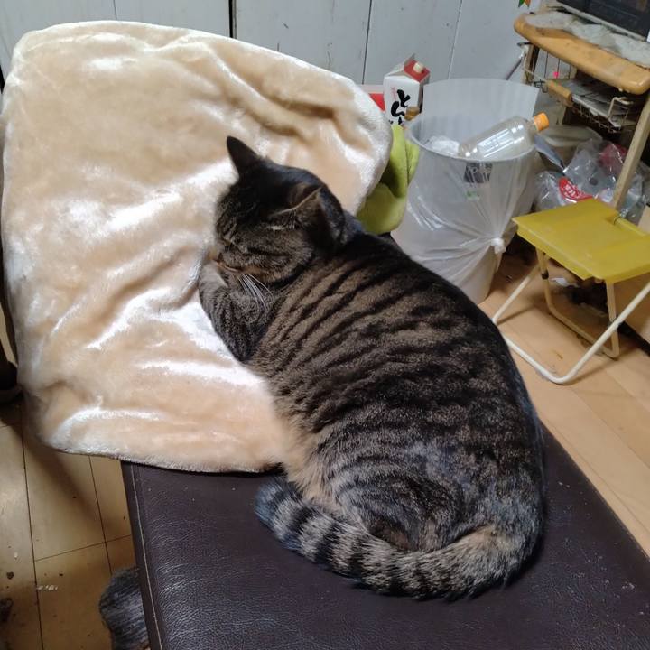 0ad18e3f f38c 403b b690 f65f6d0a5493 1702980012232