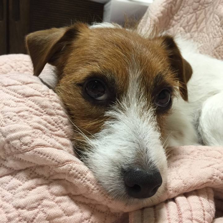 0ad19285 7058 42a0 bdef 1eff8aa6af10 1514549409511