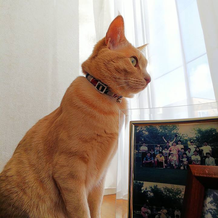 0ad1bfab 981e 48f3 b24d fb0de9493e93 1607827371051