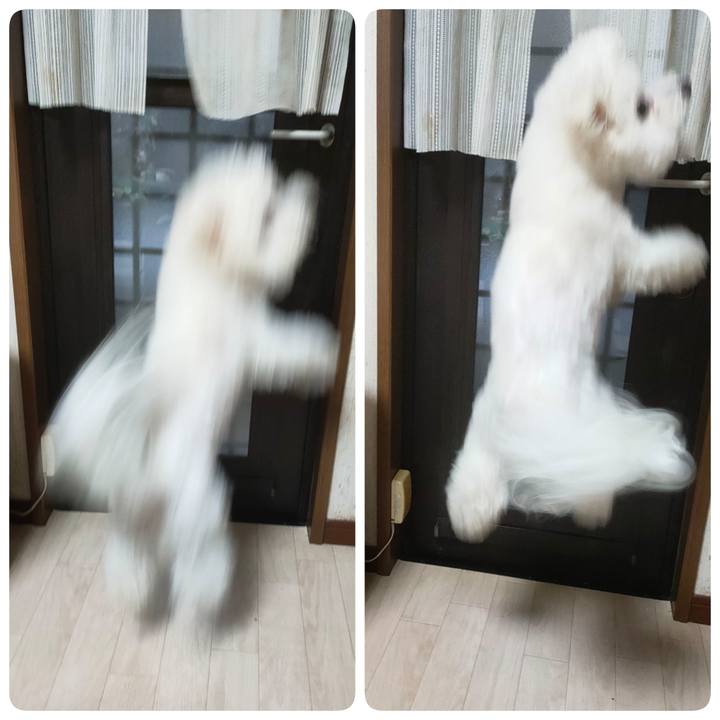 0ad1e92a 3f31 4404 9f7b 24f6620100d7 1766440938161