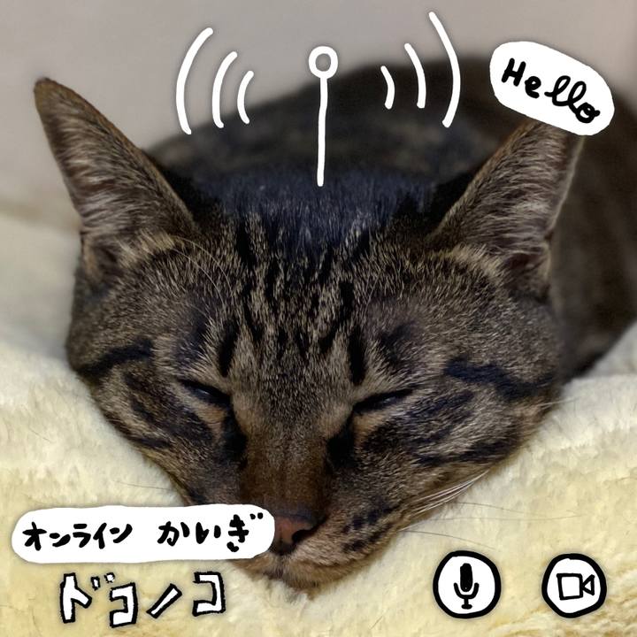 0ad1f974 b235 4ddd bd73 e406fd8b4465 1590763673737