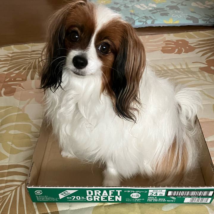 0ad203bc b3bf 4762 b3bd 97fc06a6460b 1693103397033