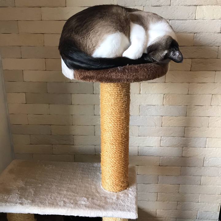 0ad22512 9d38 4c0c ac03 571721aa2b24 1568704680658