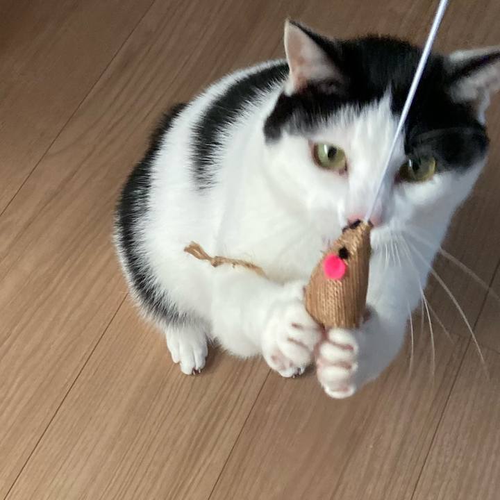 0ad24efc c938 4216 8e3b 86d8d018fe5f 1575106267026