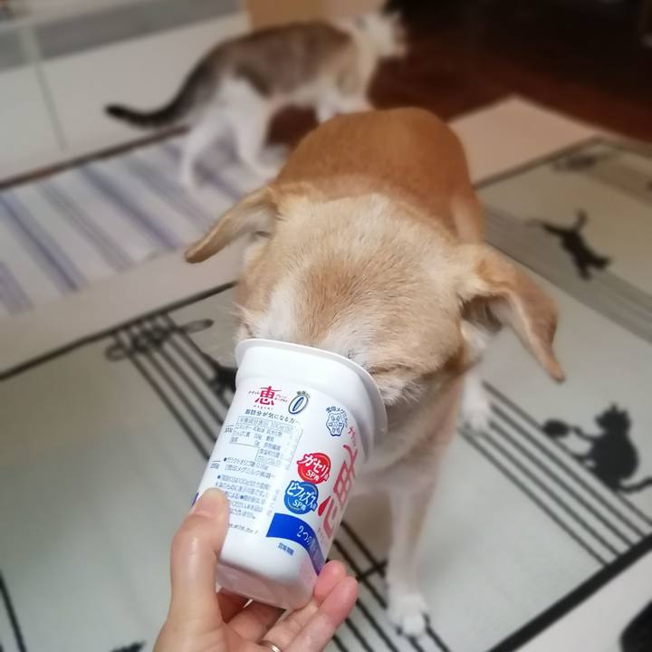 0ad25df3 c8ca 4f7a bea7 013614817102 1631663995892