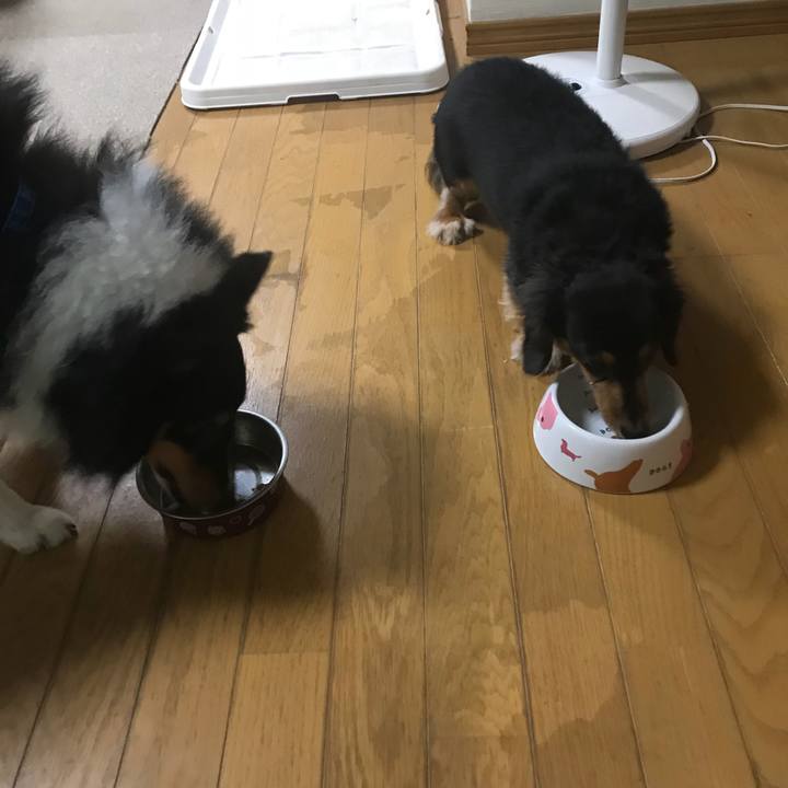 0ad26831 9548 4412 8df0 1c57199019af 1536184467549