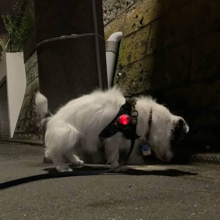 0ad287f0 307d 4f58 9a21 2243753d3d61 1713791164264