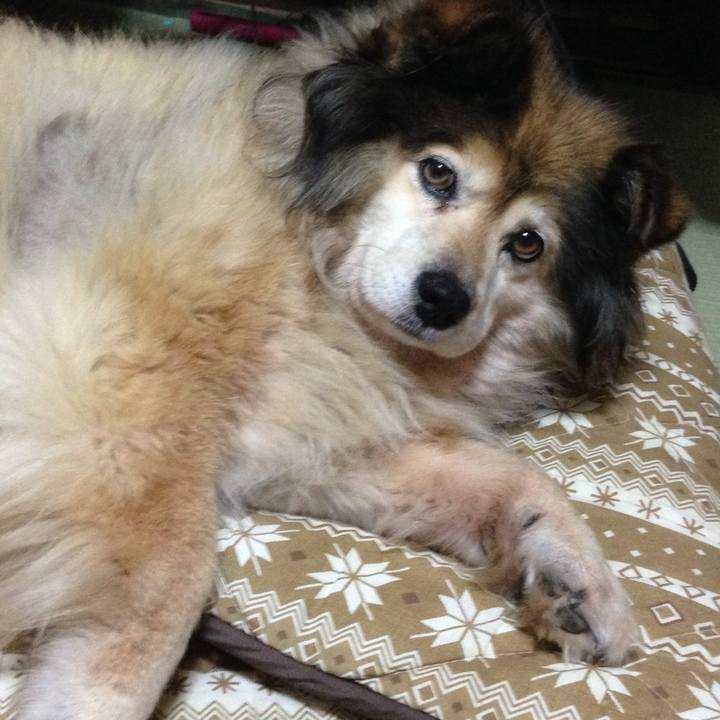 0ad28c8b 69e6 424d b73b eb01c7ae06a5 1593649033936