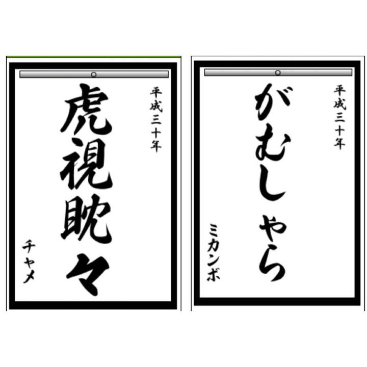 0ad2a8c7 987f 4f69 91cc d53da90c687f 1515581408280