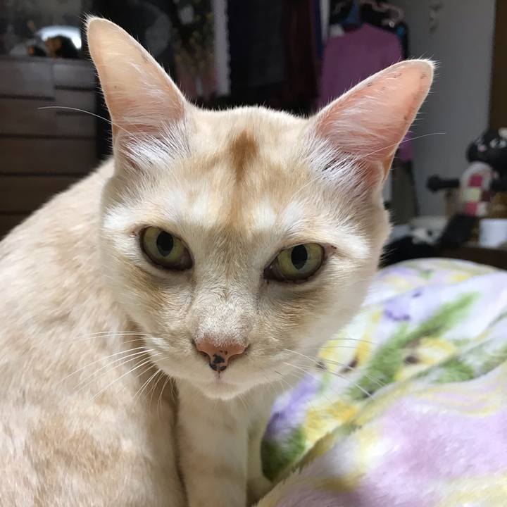 0ad2bcc9 d62b 46df b87d b136c858657a 1540300768751