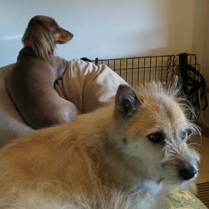 0ad2d7a2 383a 41c7 ad56 4f0c9c28cc51 1533741323281