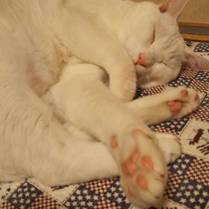 0ad2d9d0 c09e 4d38 b679 eaa1827654c6 1538736166570