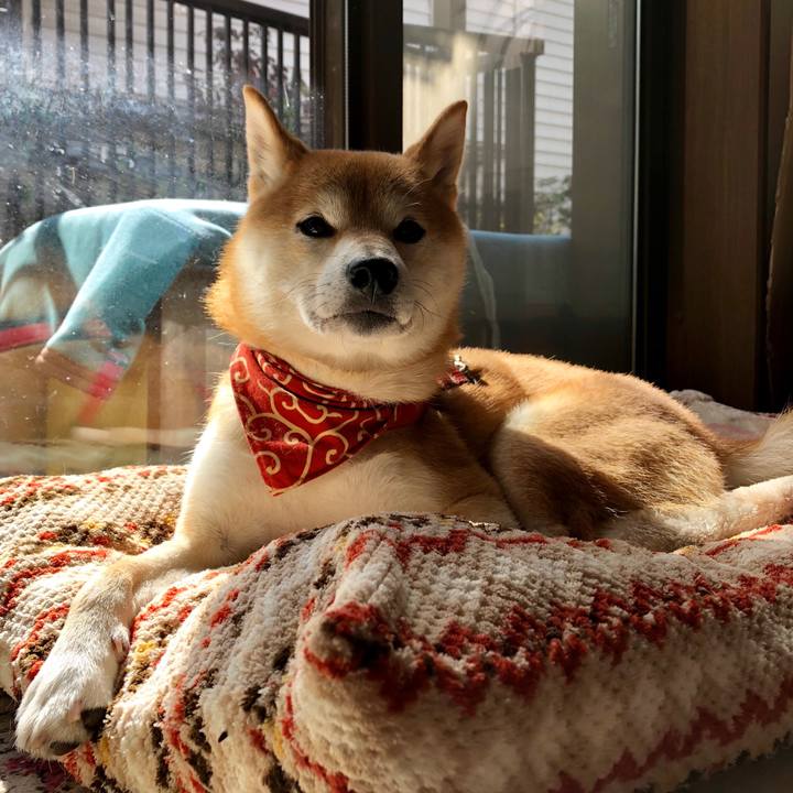 0ad2dc4a d9fb 4b94 bba9 66fff31951bc 1541842148951