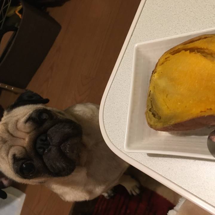 0ad2f9c0 23bd 4560 95bf 750c18a3ea1c 1510842408716