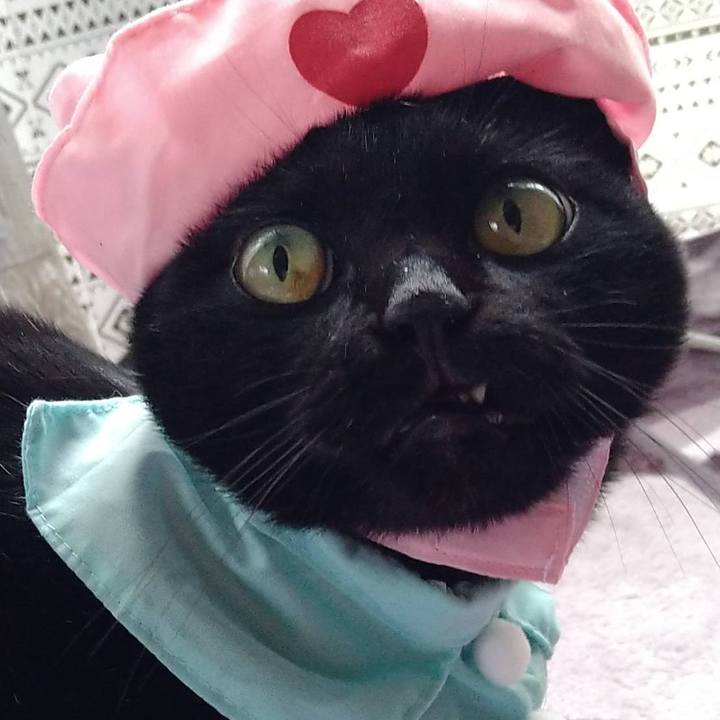 0ad30d8e f3f1 413b 8b9a 1b0d6889c723 1677921326482