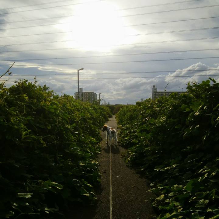 0ad317fa 533d 4916 ba20 c0867e5a7d52 1536319972886