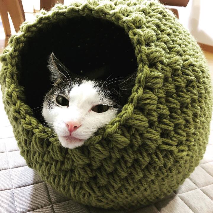 0ad3b7eb 1004 413e abce 9fd174744b86 1636615535685