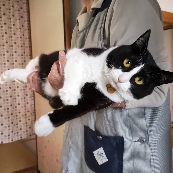 0ad3cbdd 273b 4ab2 9ff4 f2215ef38bf6 1572582056045