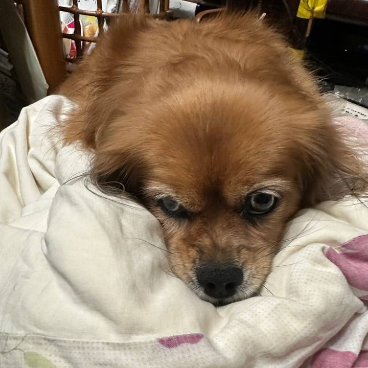 0ad3efe2 de5d 4cea 94a2 ae8014e99504 1760477329256