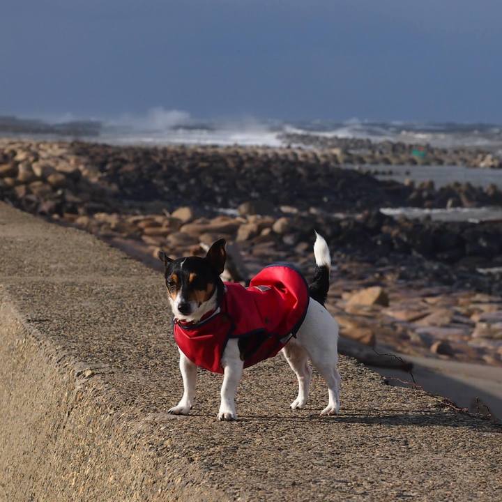 0ad42852 49c2 4161 bb5a 3b3e8a9113a1 1608035174049