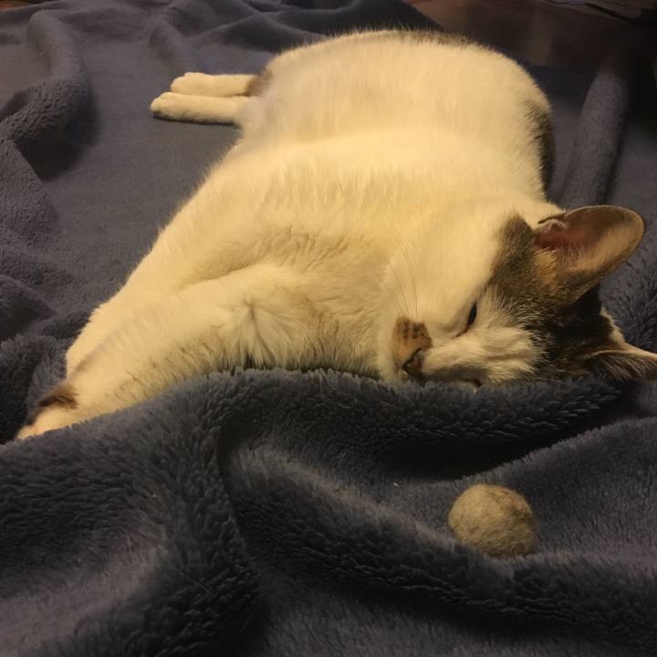 0ad44149 547f 499b 9dd9 b1d7cf483c46 1520431864897