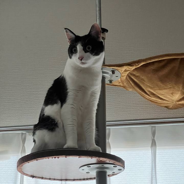 0ad454b0 b795 4595 9f40 8f45ffe26676 1734705224126