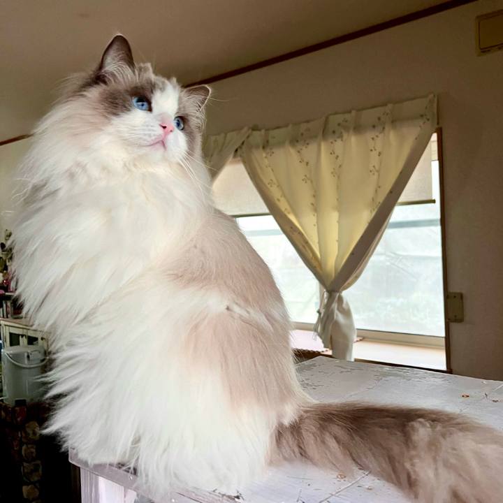 0ad4864d eb65 4443 80d7 57ba094ca870 1712949768971