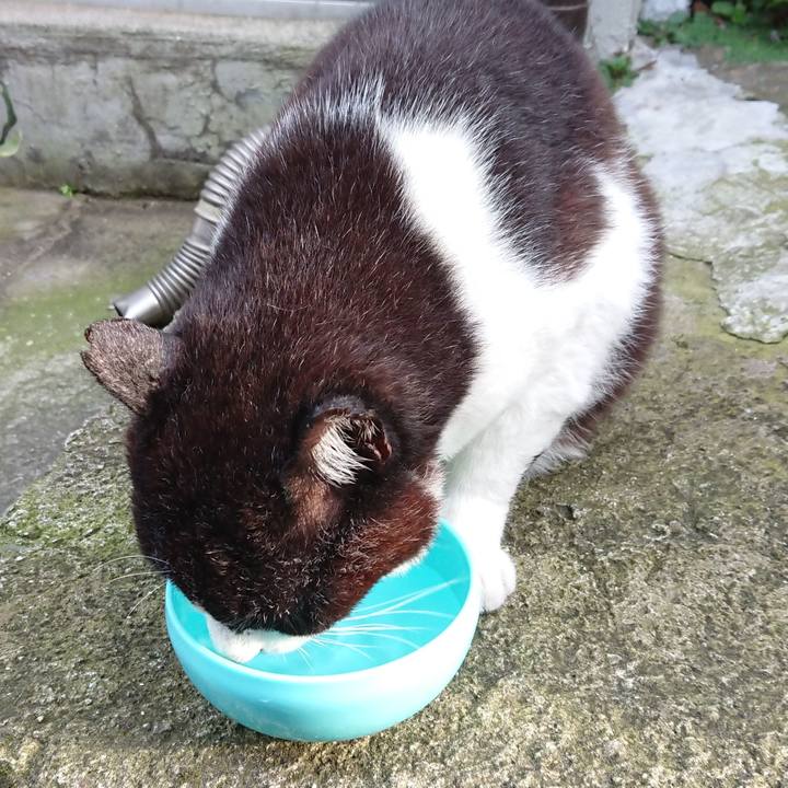 0ad495c0 d61e 4572 a5f7 05c7c857c877 1687949050068